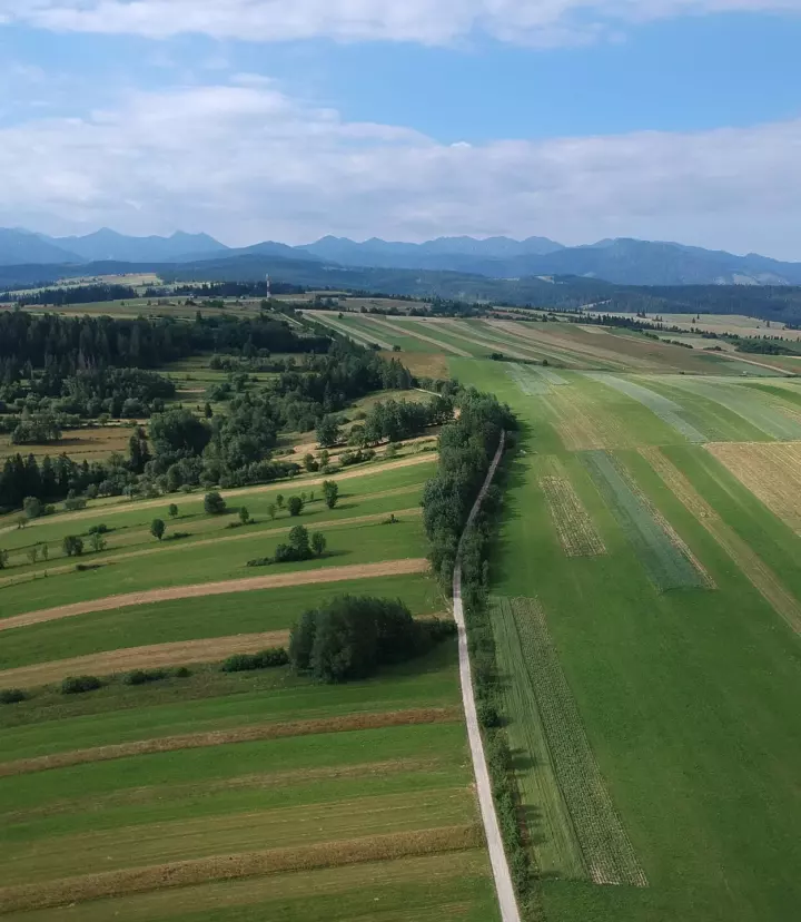 Fields and the Tatra mountain skyline near Chocholow